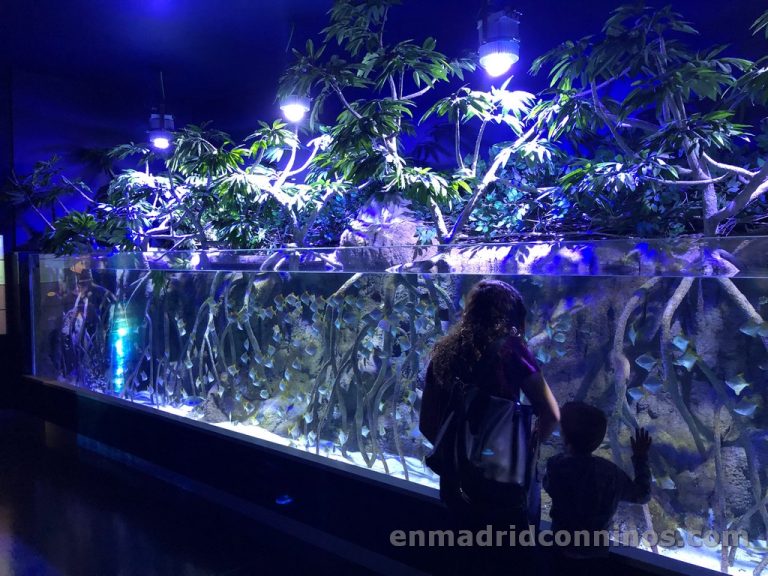 Atlantis Aquarius en Xanadu Arroyomolinos,una aventura acuática para niños