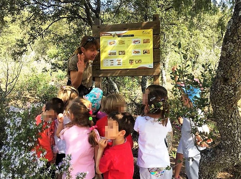 Talleres de apicultura en Hoyo de Manzanares