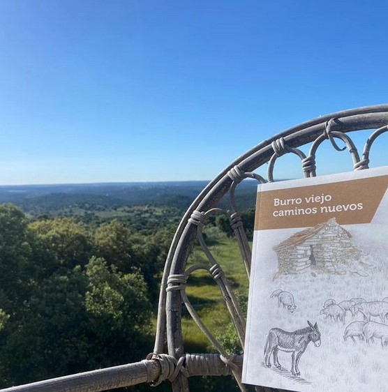 el águila chapineria