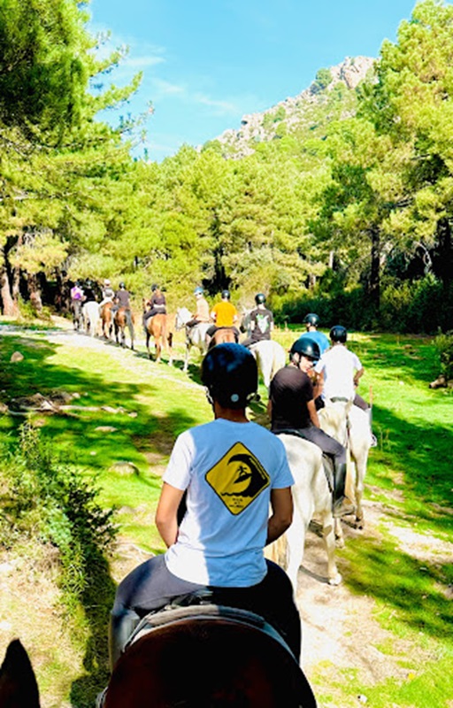 Rutas a caballo en Madrid
